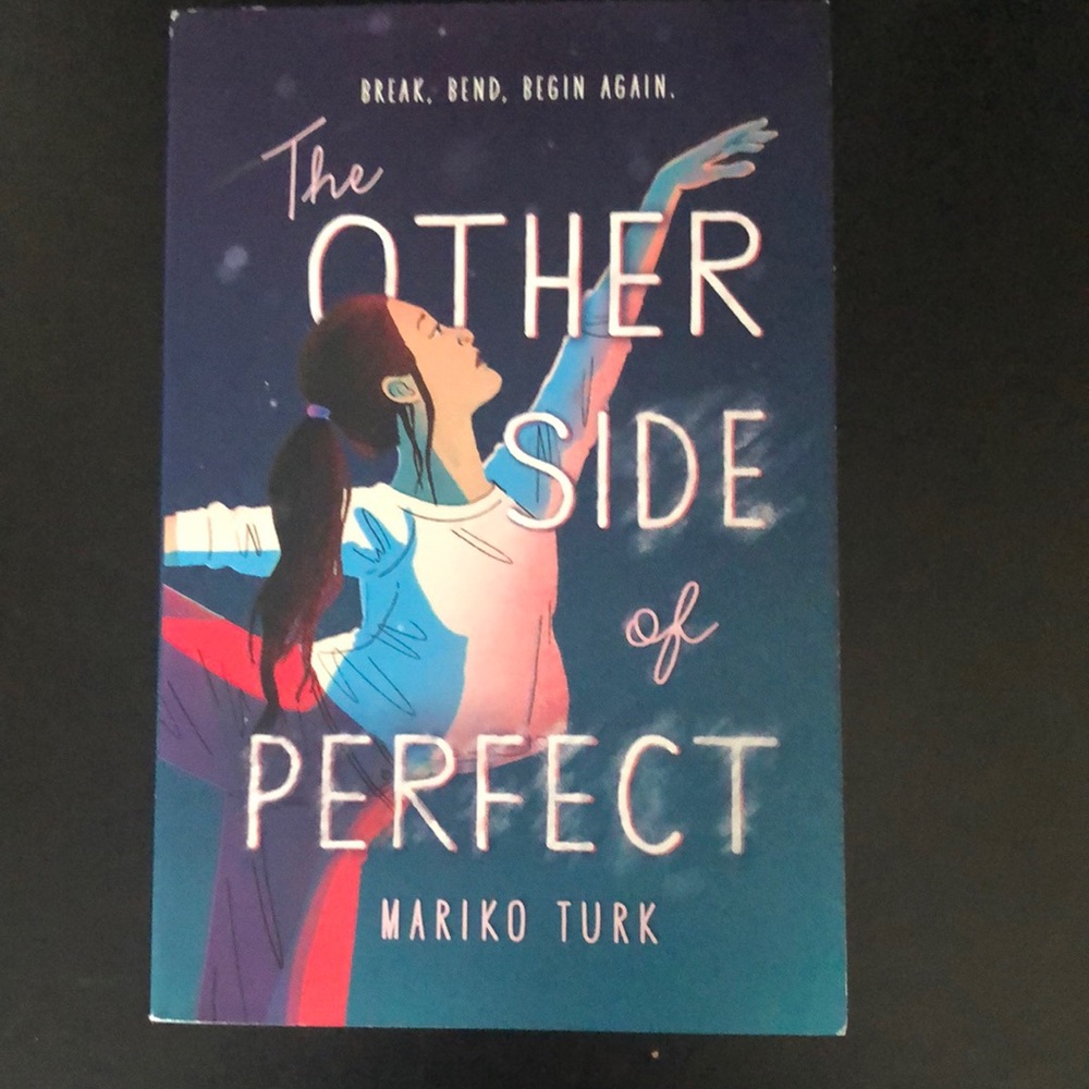 The Other Side of Perfect book by Mariko Turk